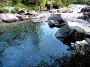 P1000760 bis   