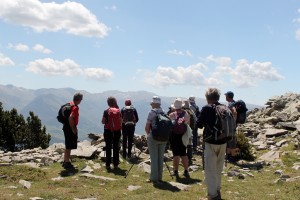 IMG_0819