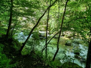 20220601_113444 (Copier)
