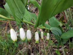 IMG-20220604-WA0004