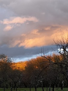 IMG-20210319-WA0004     