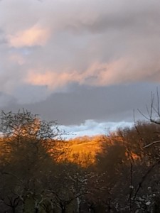 IMG-20210319-WA0005     