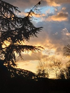 IMG-20210319-WA0009     