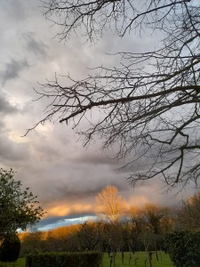IMG-20210319-WA0012     