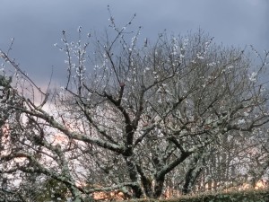 ciel 6     