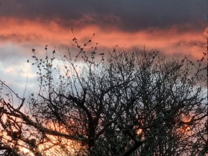 ciel Auch 1     
