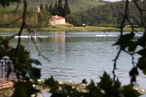 IMG_3835   