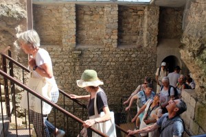 IMG_3594 