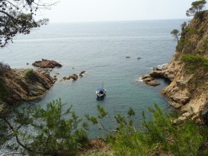 Camino ronda (16)    