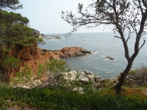 Camino ronda (19)    