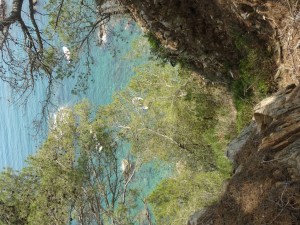 Camino ronda (37)    