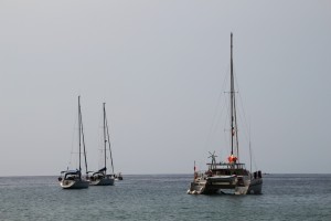 IMG_3763     