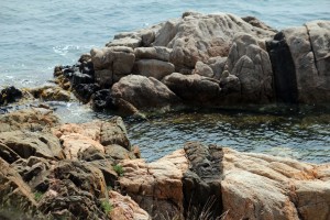 IMG_3779     