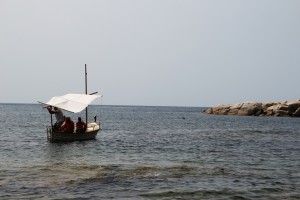 IMG_3785     