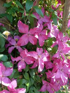 IMG-20260514-WA0012