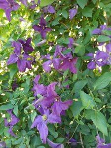 IMG-20260514-WA0014