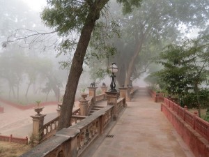 Petit matin  Gajner Rajasthan     