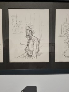 20240119_163727 (Copier)