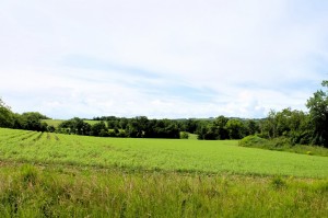 IMG_6309 (Copier)