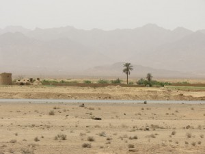 Paysage désertique
