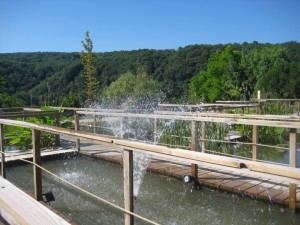 Les jardins d'eau 029 [1024x768] 