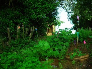 Espace jardin au sud  