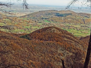 IMG_20231211_121715(1)          