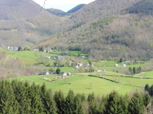 P1000184                      