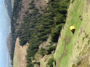 Peyre  Crêtes de Culentous (10)       