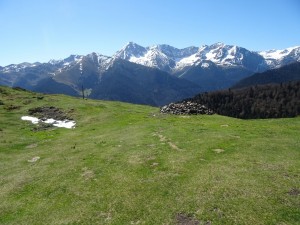 Peyre  Crêtes de Culentous (14)        