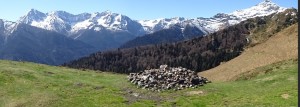 Peyre  Crêtes de Culentous (16)        