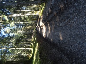 Peyre  Crêtes de Culentous (2)     