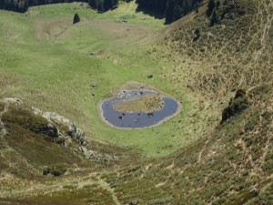Peyre  Crêtes de Culentous (26)        