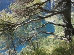 thumb_DSCN2720_1024