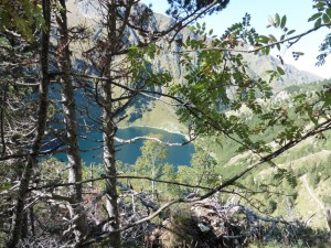 thumb_P1020567_1024