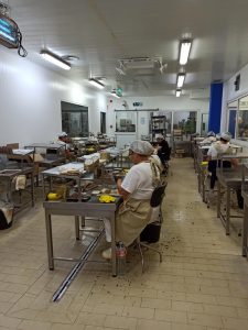 Santonia-la-conserverie-Emilia-2