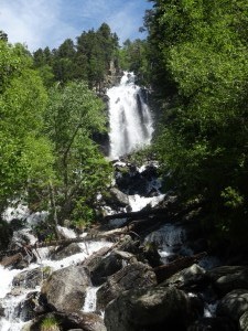 Encantats (63) 