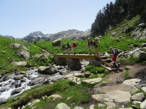 Les encantats (13)    