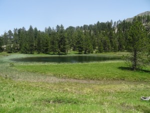 Les encantats (15)    