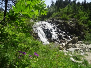 Les encantats (16)    