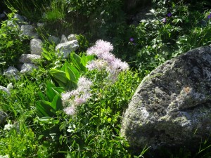 Les encantats (9)    