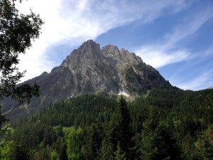 Sans titre 8 (Copier)      