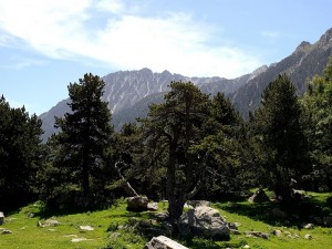 Sans titre 9 (Copier)      
