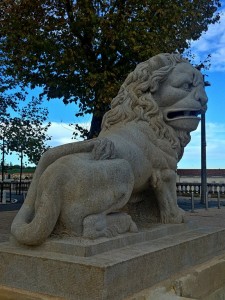 20201108_152059_HDR[1] (Copier)