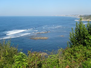 26-Bidart  St Jean de Luz (7)