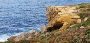 28- Bidard St Jean de Luz