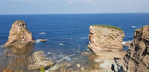 29-Les 2 jumeaux