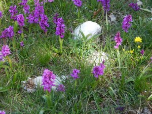 DSCN3199 