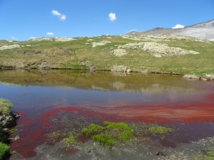 Cirque de Troumouse (6)            