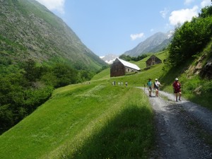 Col de Ripeyre (48)  